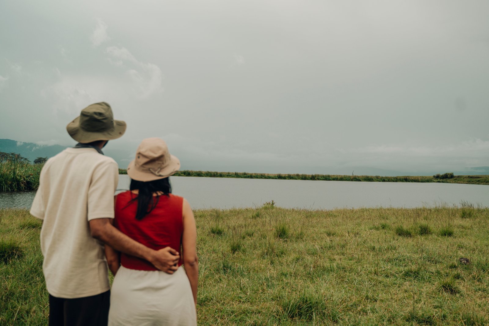 Safari Journal Background