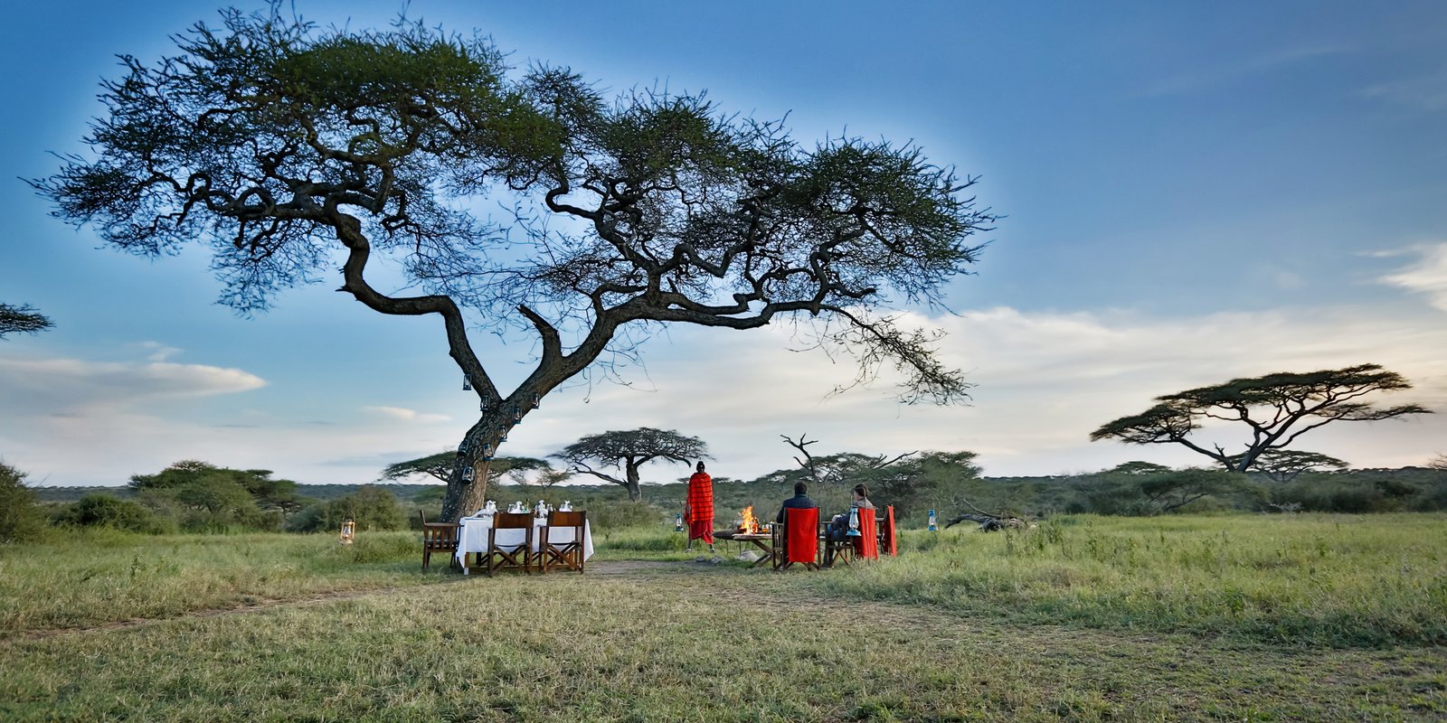 Tarangire Best Lodges Directory — Land of Elephants and Baobabs (2026)