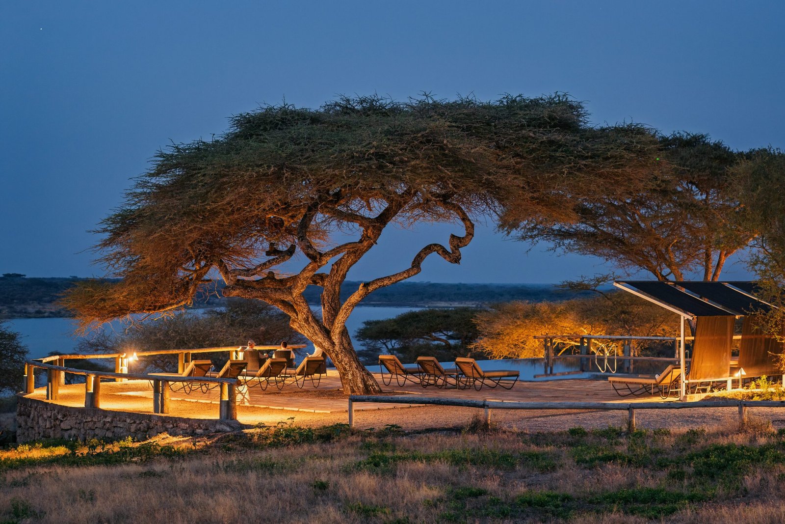 Ndutu Best Lodges Directory — Southern Serengeti Calving Season (2026)