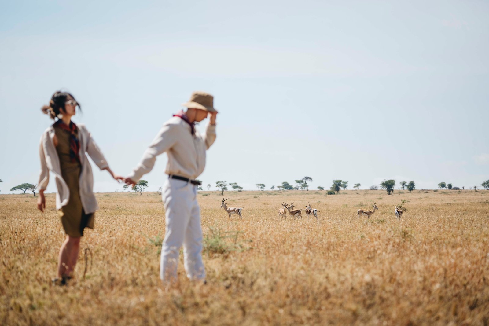 HONEYMOON SAFARIS