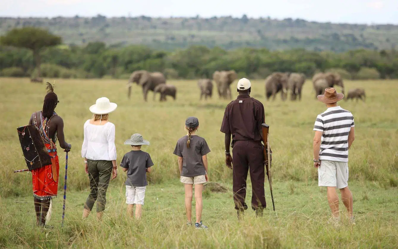 WALKING SAFARIS