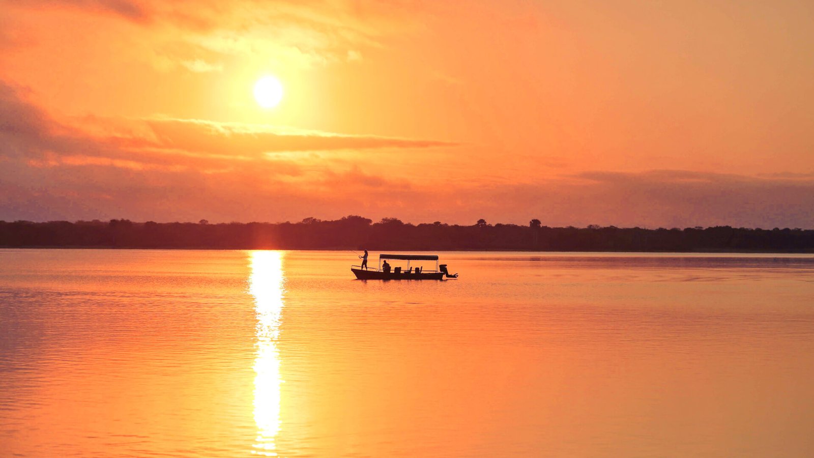 SUNSET CRUISE SAFARIS