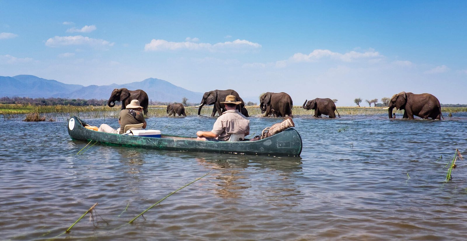 BOATING SAFARIS