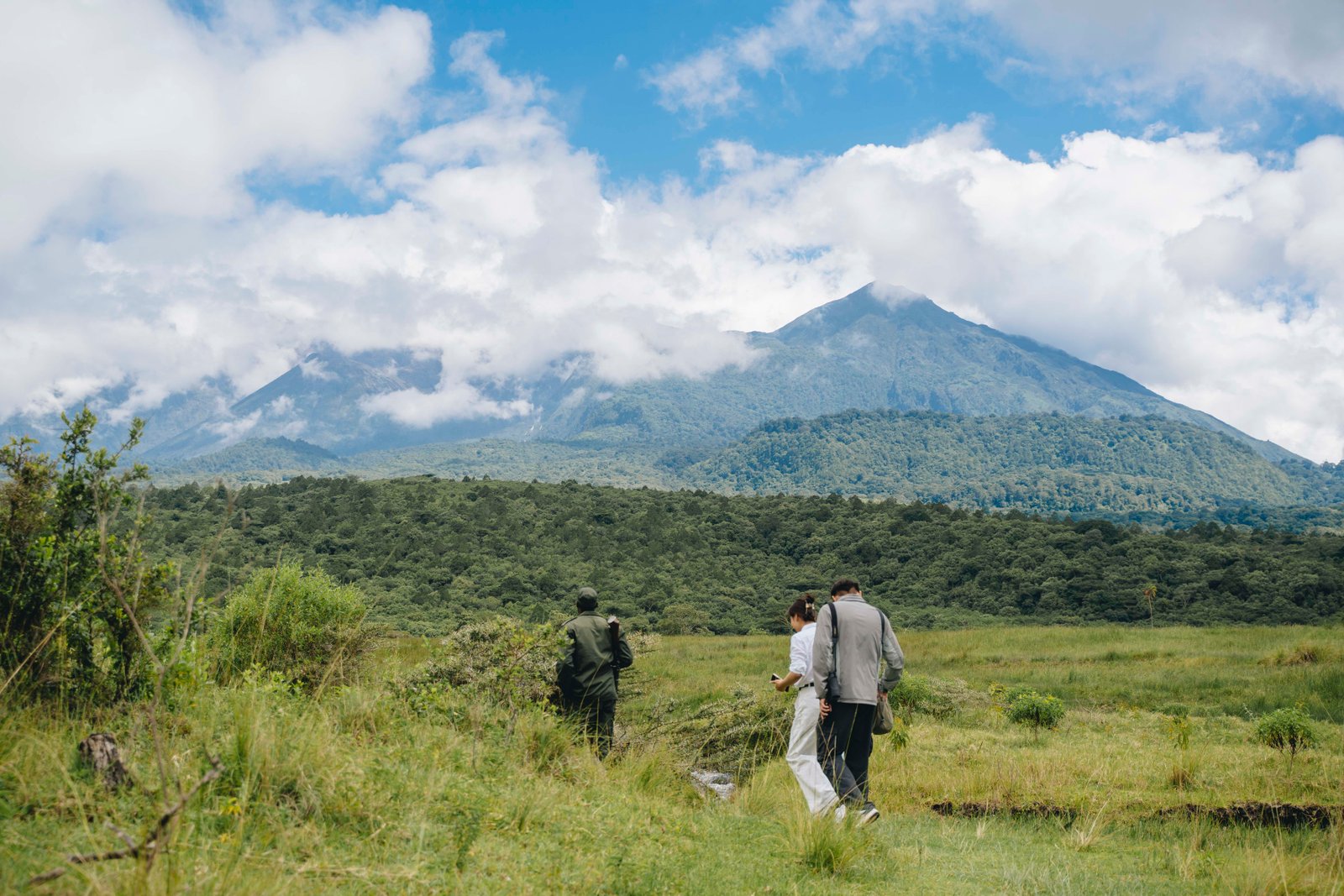 WALKING SAFARIS