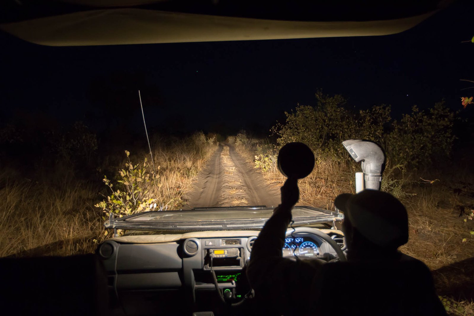 NIGHT GAME DRIVES