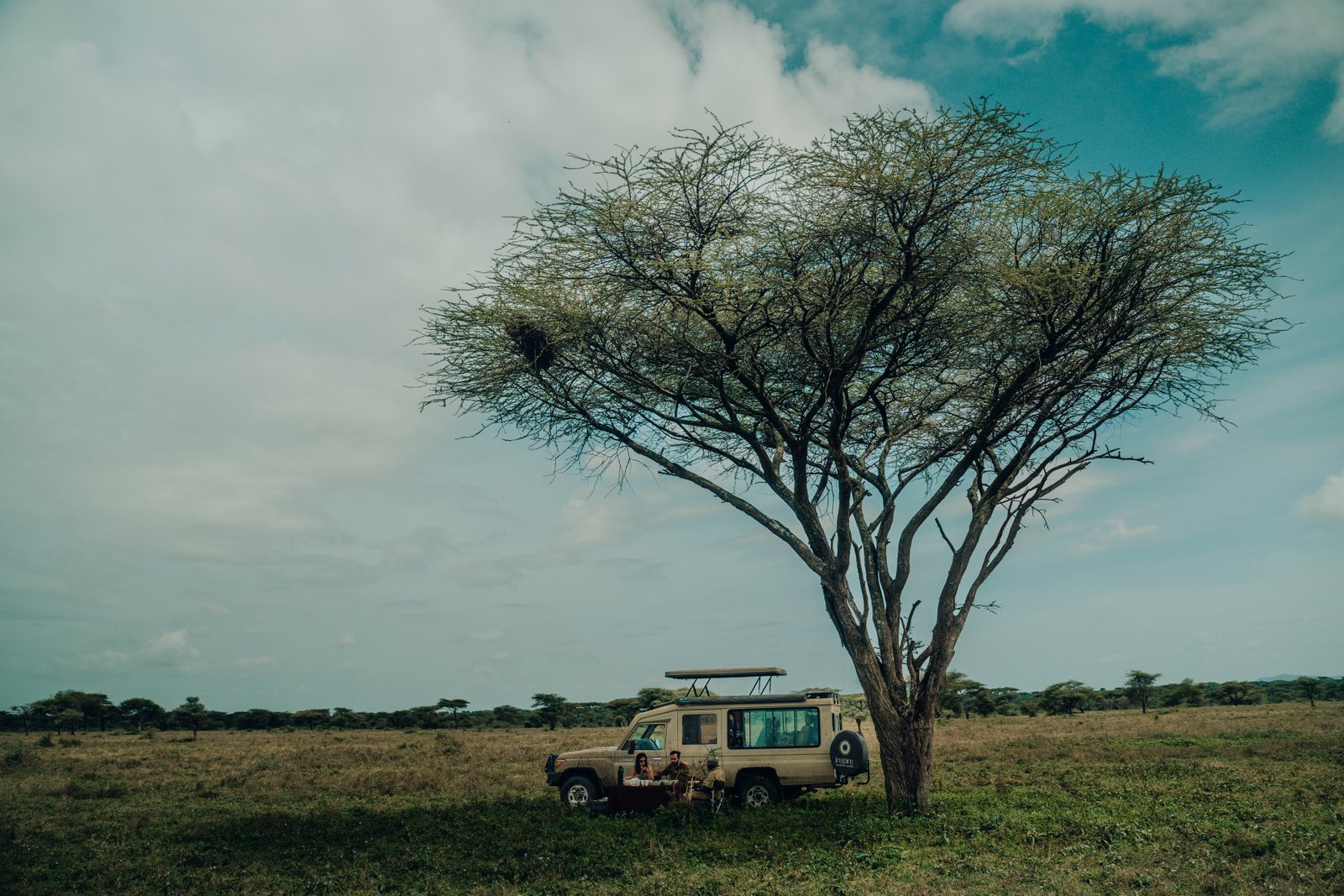 LUXURY SAFARIS