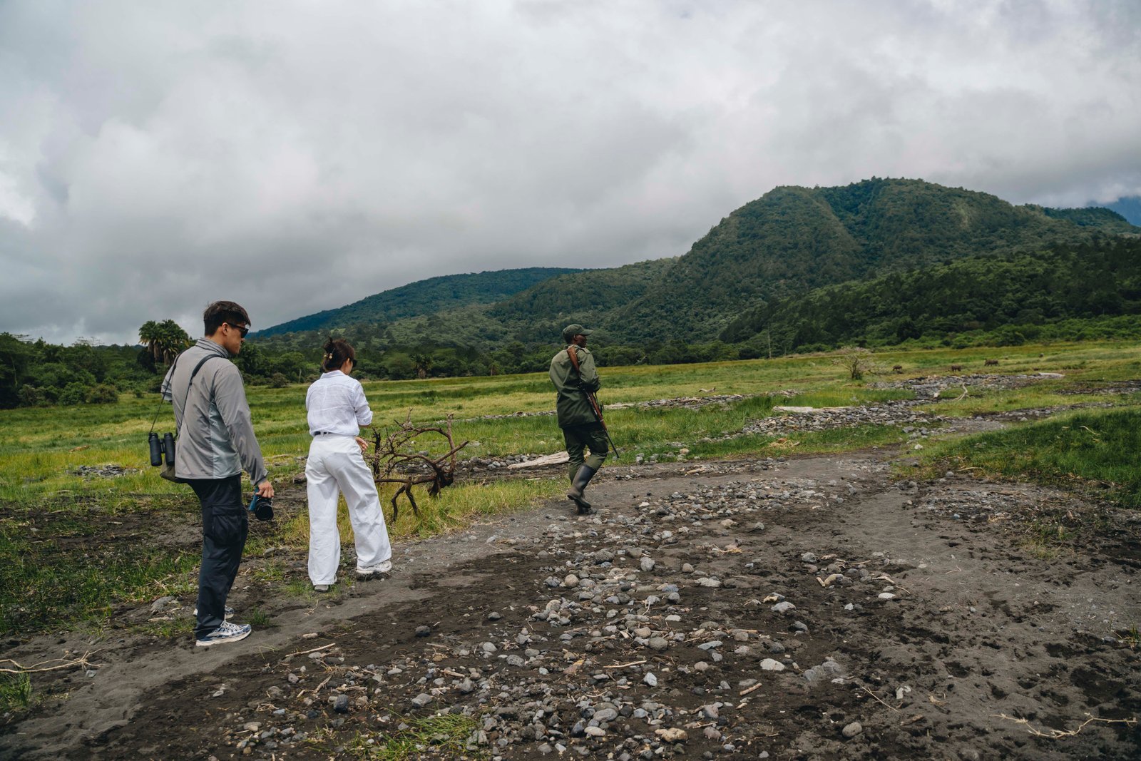 WALKING SAFARIS
