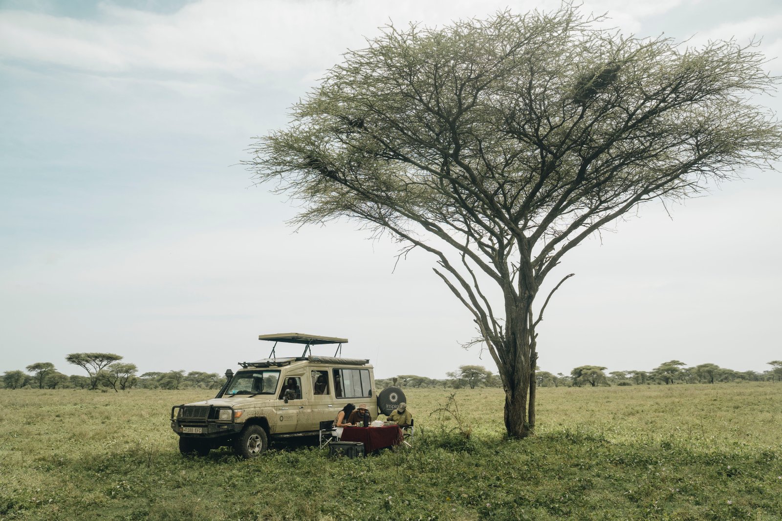 CONSERVATION SAFARIS