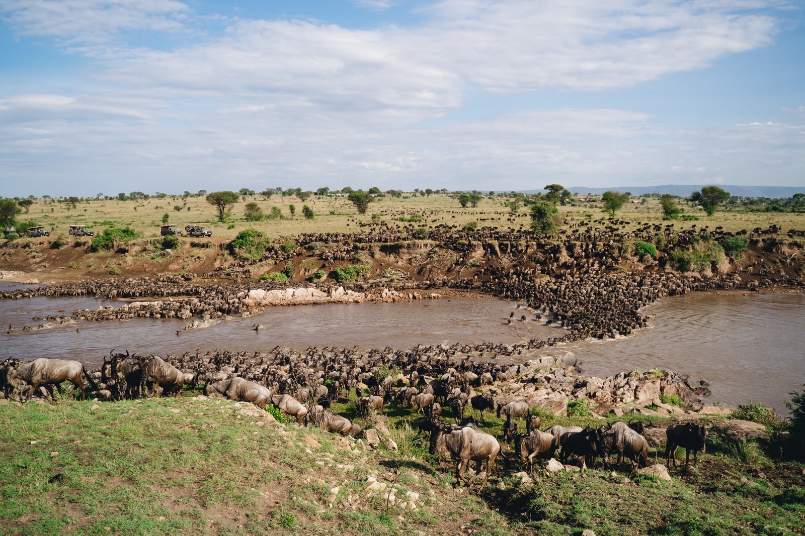 THE GREAT WILDEBEEST MIGRATION