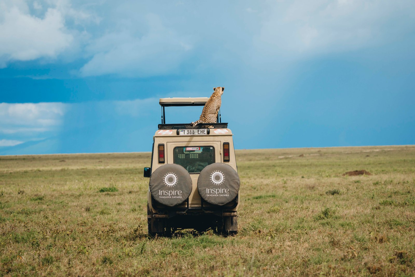 10 Days in Northern Tanzania & Zanzibar