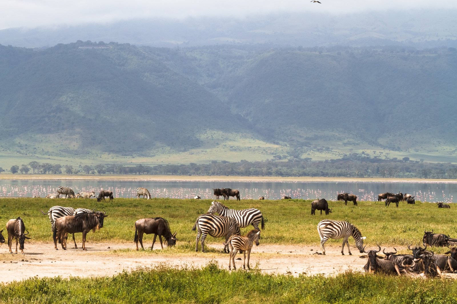 5 Day Tarangire & Ngorongoro Safari