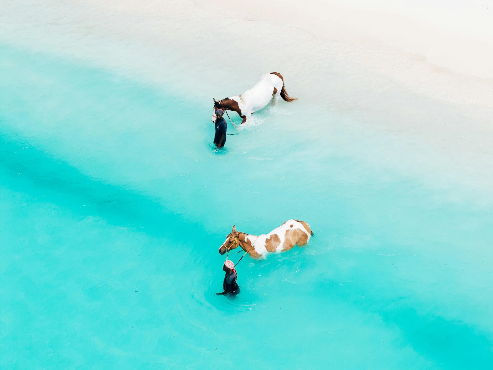 4 Day Zanzibar to Serengeti Fly-In Safari