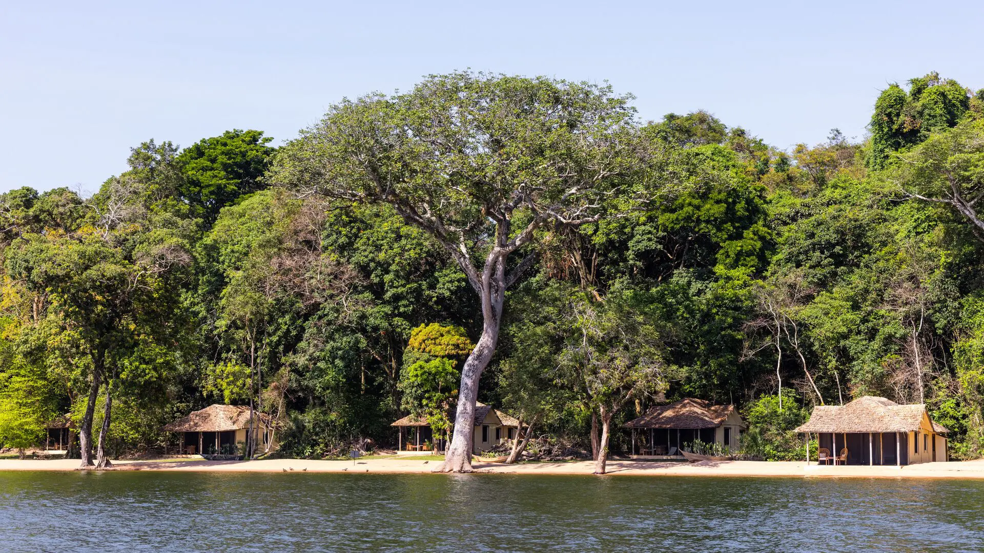 15 Day Tanzania Safari Serengeti & Rubondo Island Chimpanzees