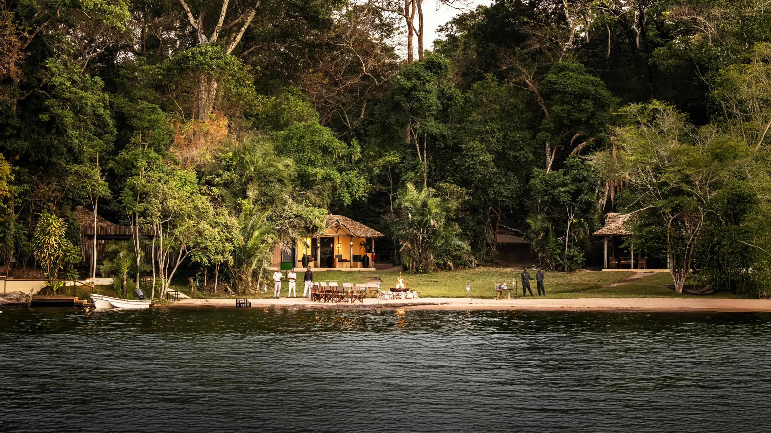 15 Day Tanzania Chimpanzee Safari Rubondo, Gombe & Mahale