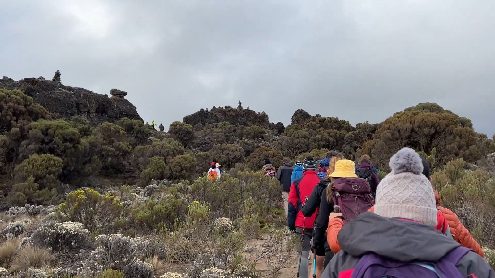 9 Days Machame Route Climb
