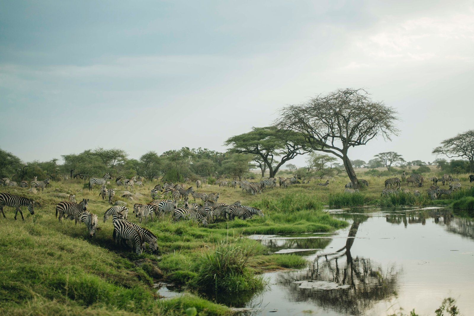 10 Days in Northern Tanzania & Zanzibar