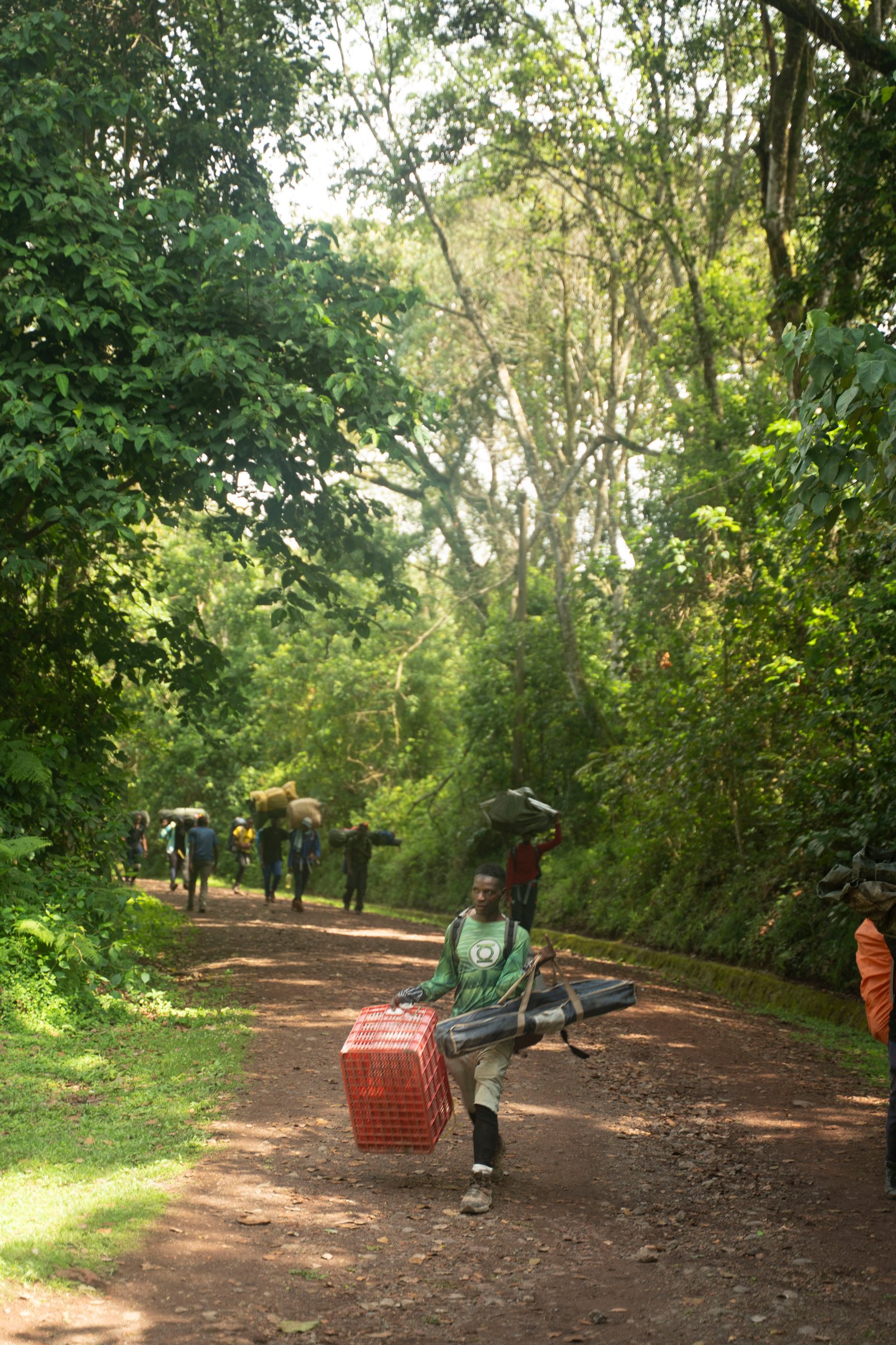 Rongai Route